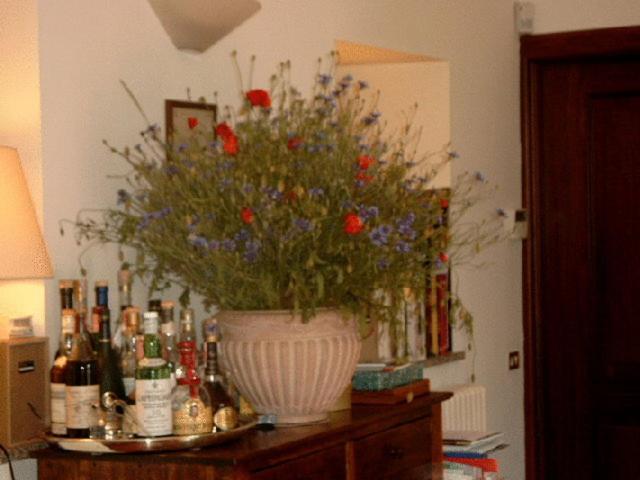 Residenza Del Lago Candia Canavese Екстериор снимка